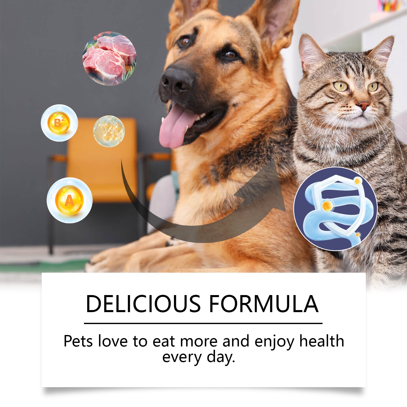 Probiotic Tablets for Cats & Dogs – Digestive Health & Immunity Supplement