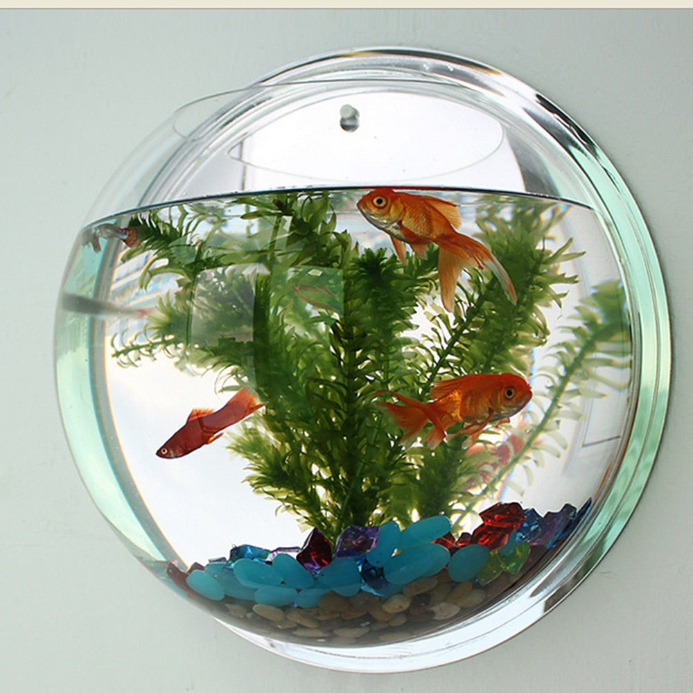 Pot Plant Wall Mounted Newest Hanging Decor Bubble Bowl Flowers Fish Tank Home Decor Aquarium Home Decoration Accessories