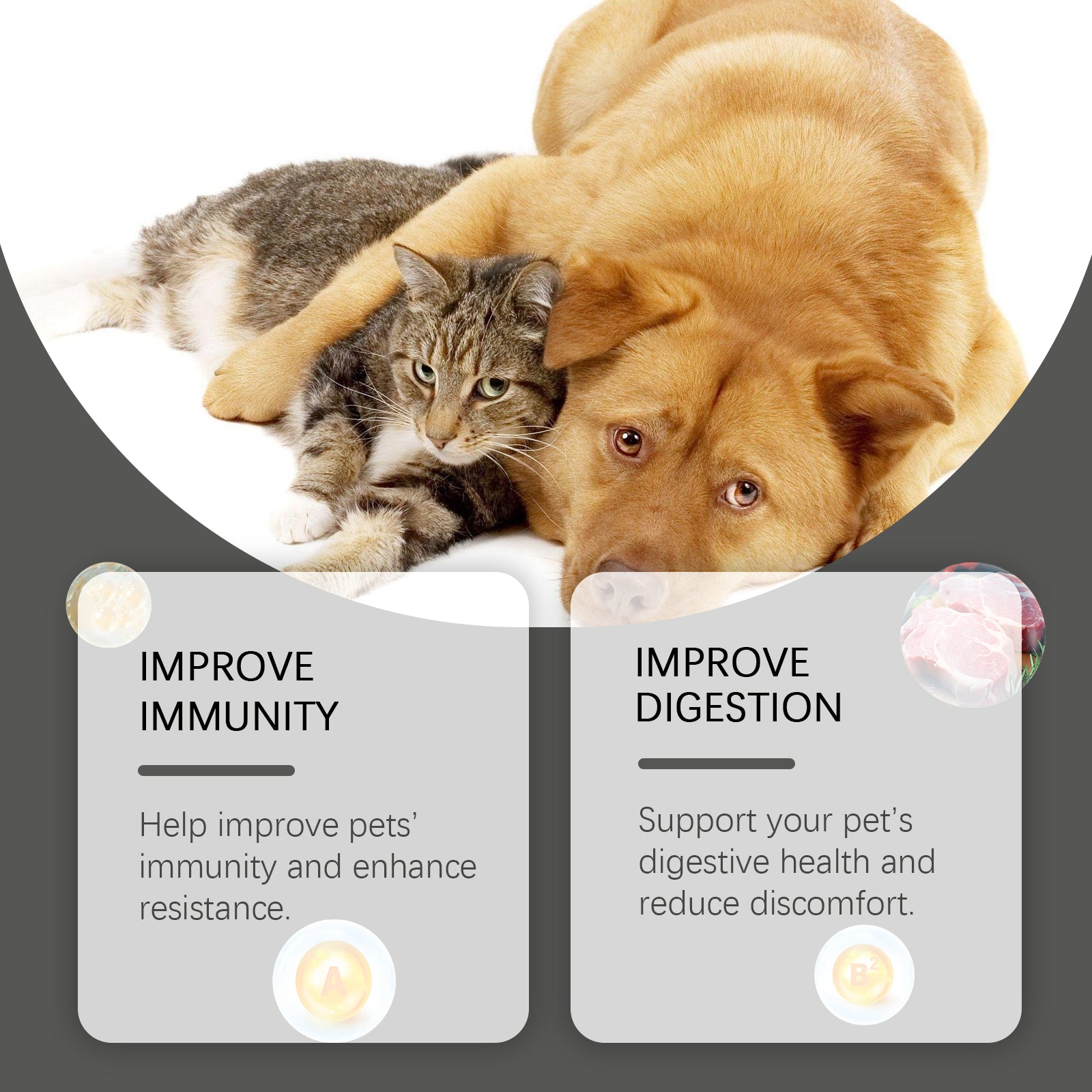 Probiotic Tablets for Cats & Dogs – Digestive Health & Immunity Supplement