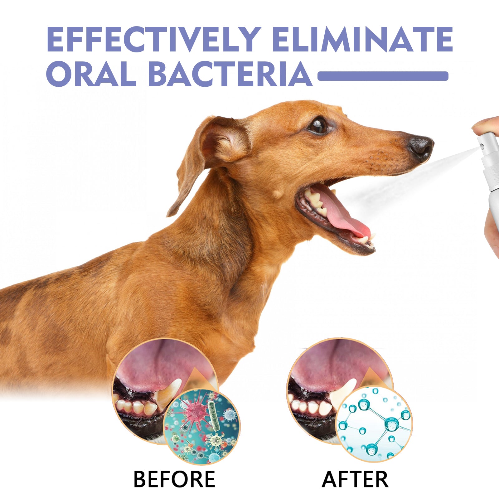 Pet Dental Spray for Cats & Dogs – Removes Plaque, Tartar & Bad Breath (Propolis Formula)
