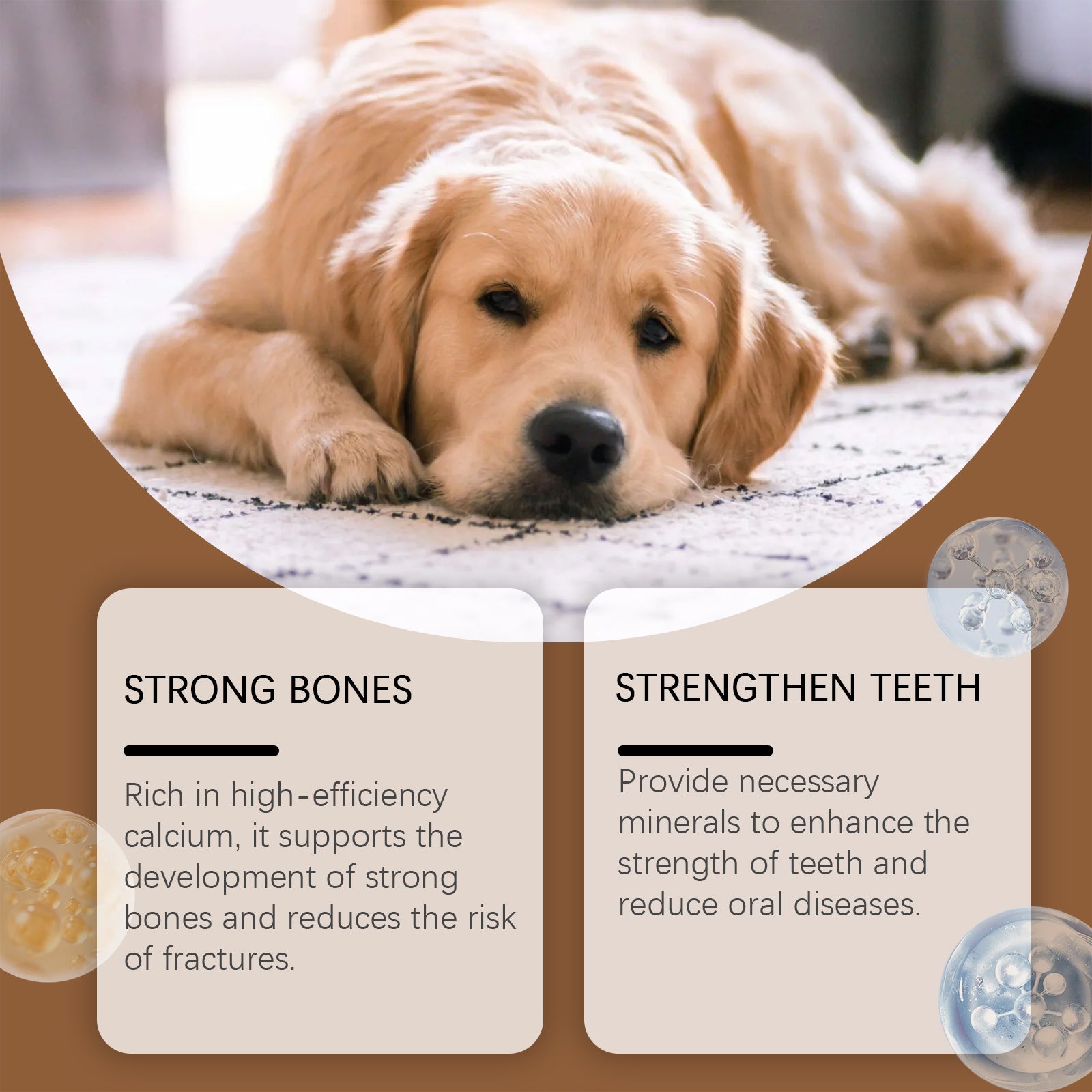 Milk Calcium Tablets for Dogs – Bone & Teeth Vitamin Supplement for Puppies & Adults