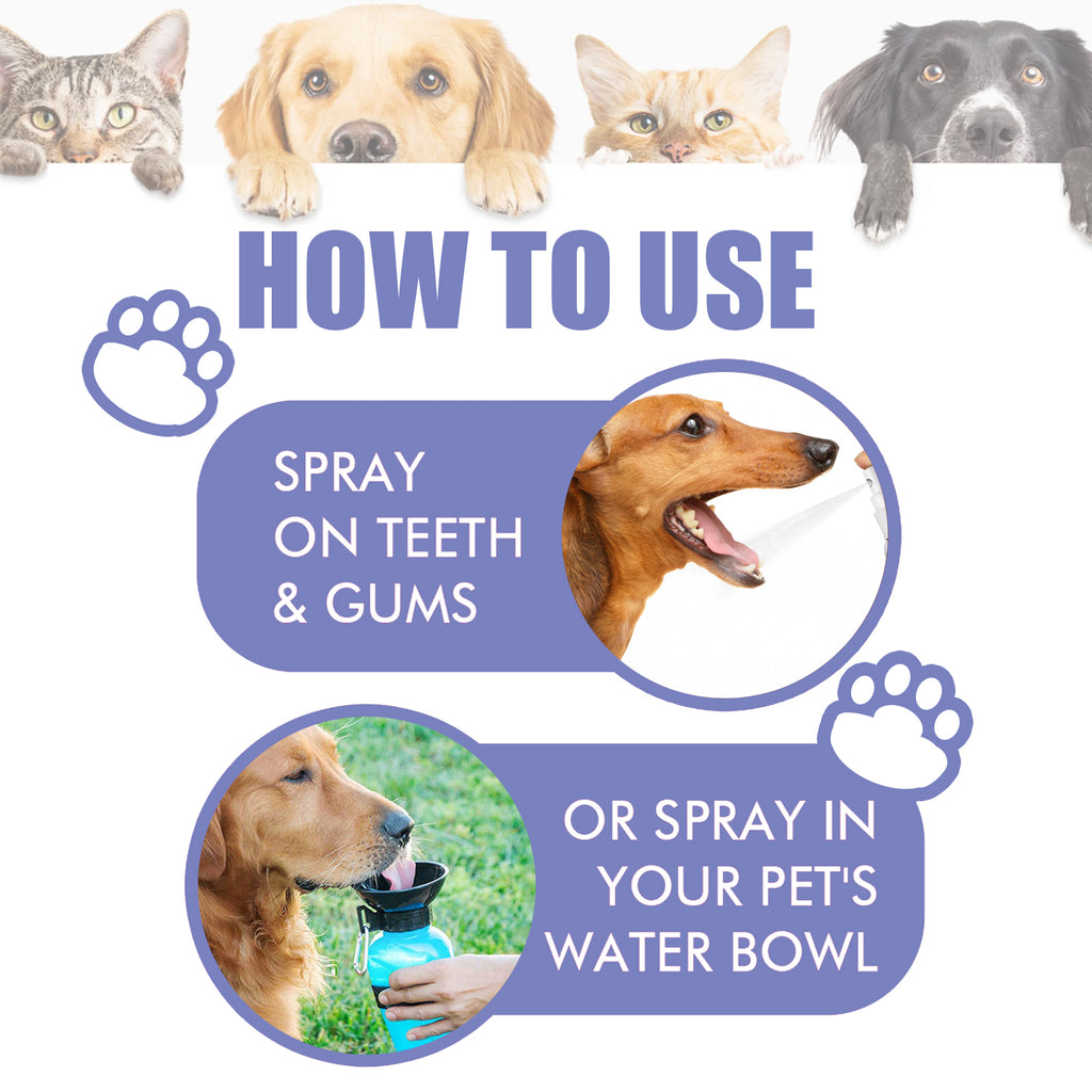 Pet Dental Spray for Cats & Dogs – Removes Plaque, Tartar & Bad Breath (Propolis Formula)
