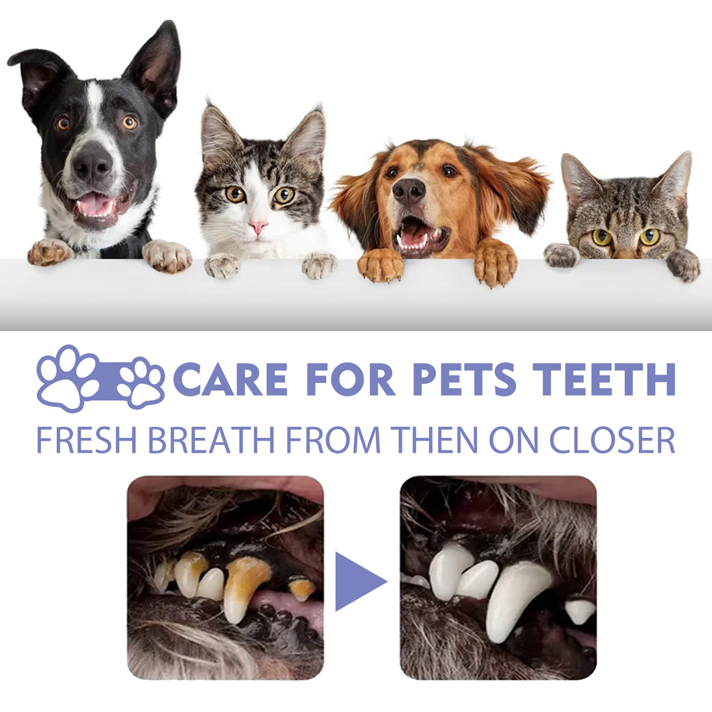 Pet Dental Spray for Cats & Dogs – Removes Plaque, Tartar & Bad Breath (Propolis Formula)
