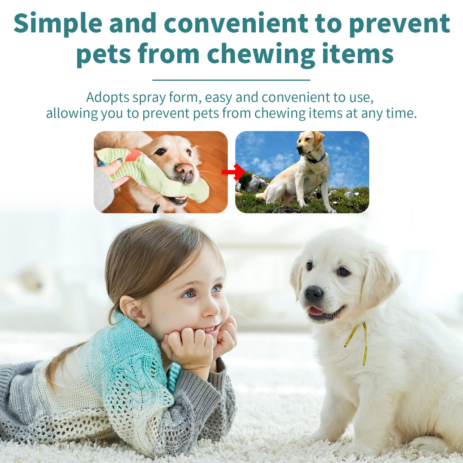 Anti-Chew & Scratch Spray for Cats & Dogs – Behavior Correction Spray (Peppermint & Honeysuckle)