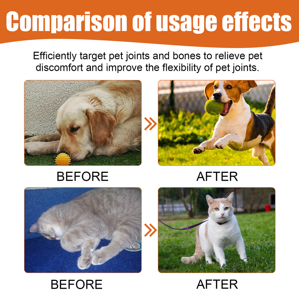 Pet Bee Venom Joint Care Oil for Cats & Dogs – Arnica & Vitamin K2 Formula