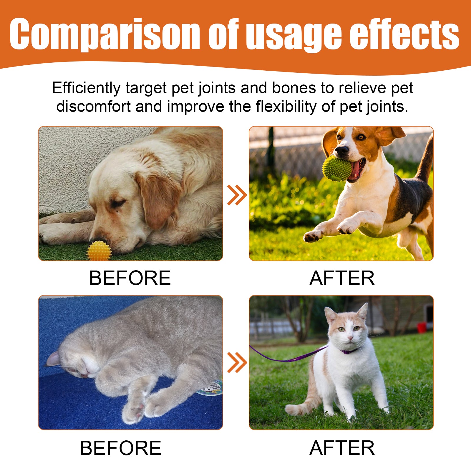 Pet Bee Venom Joint Care Oil for Cats & Dogs – Arnica & Vitamin K2 Formula