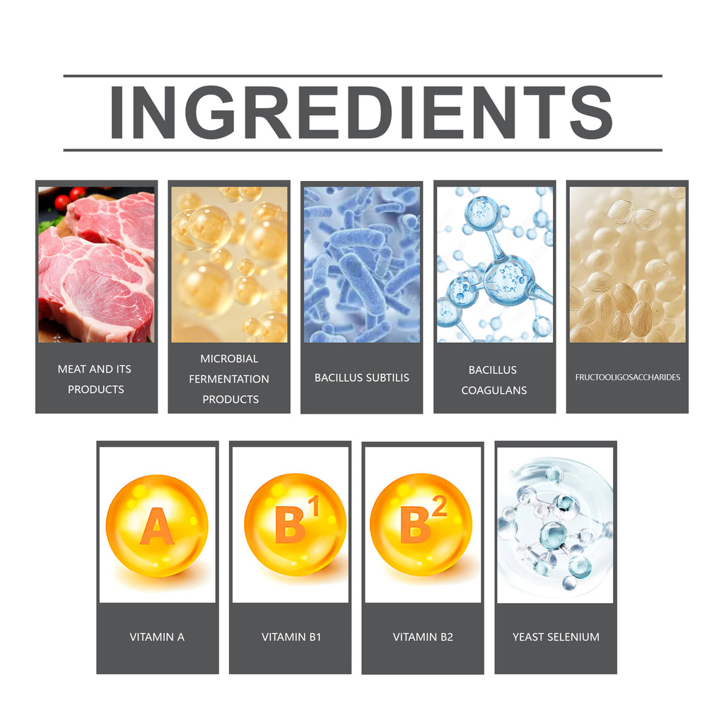 Probiotic Tablets for Cats & Dogs – Digestive Health & Immunity Supplement