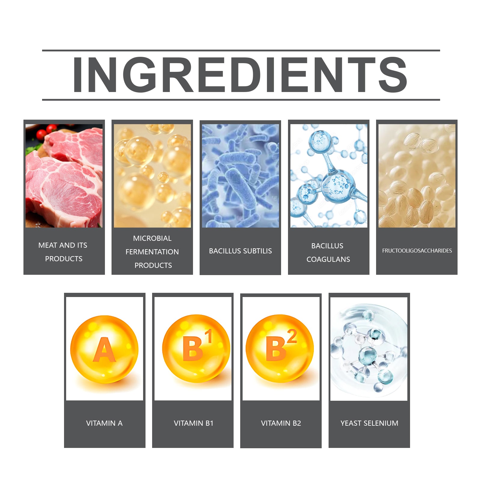 Probiotic Tablets for Cats & Dogs – Digestive Health & Immunity Supplement