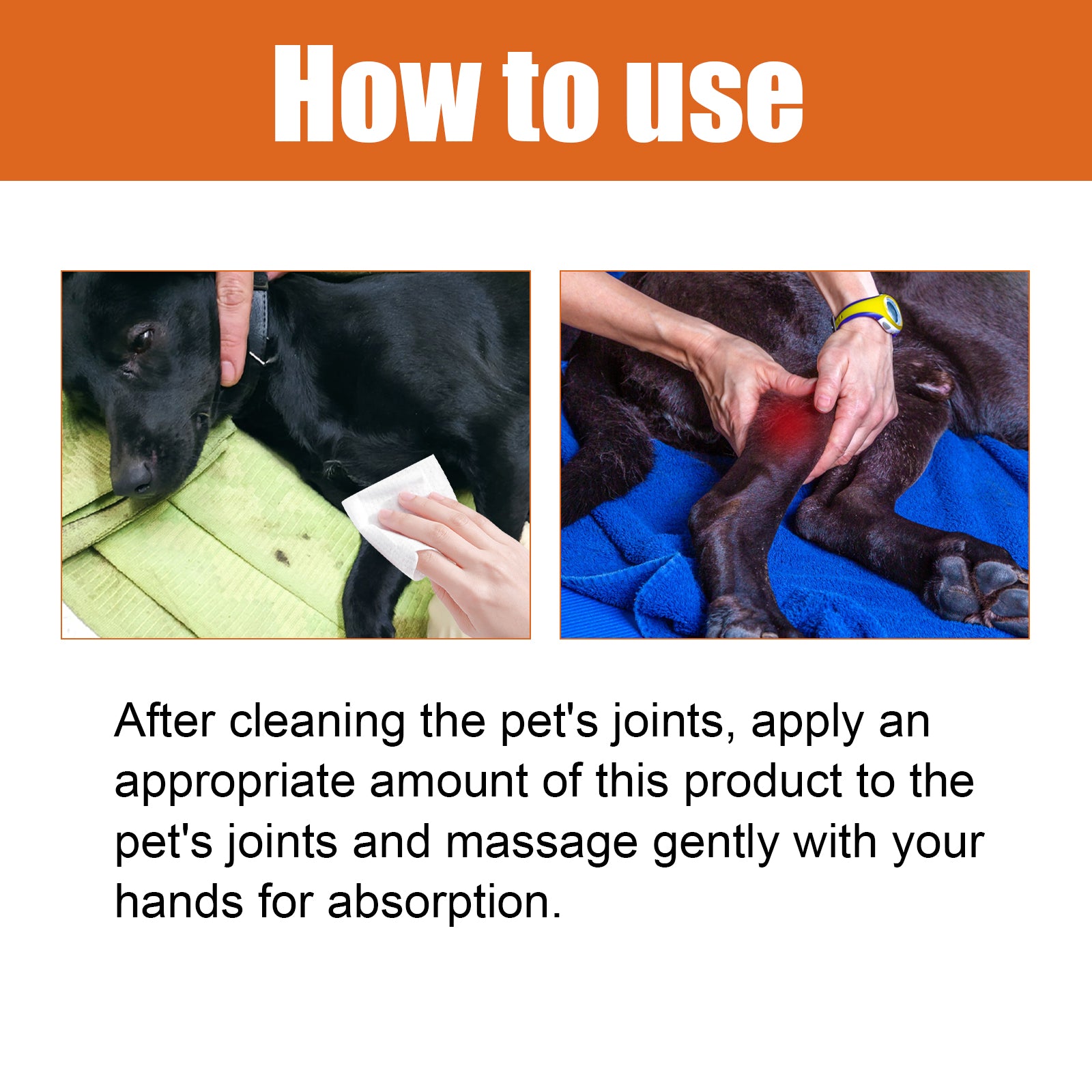 Pet Bee Venom Joint Care Oil for Cats & Dogs – Arnica & Vitamin K2 Formula